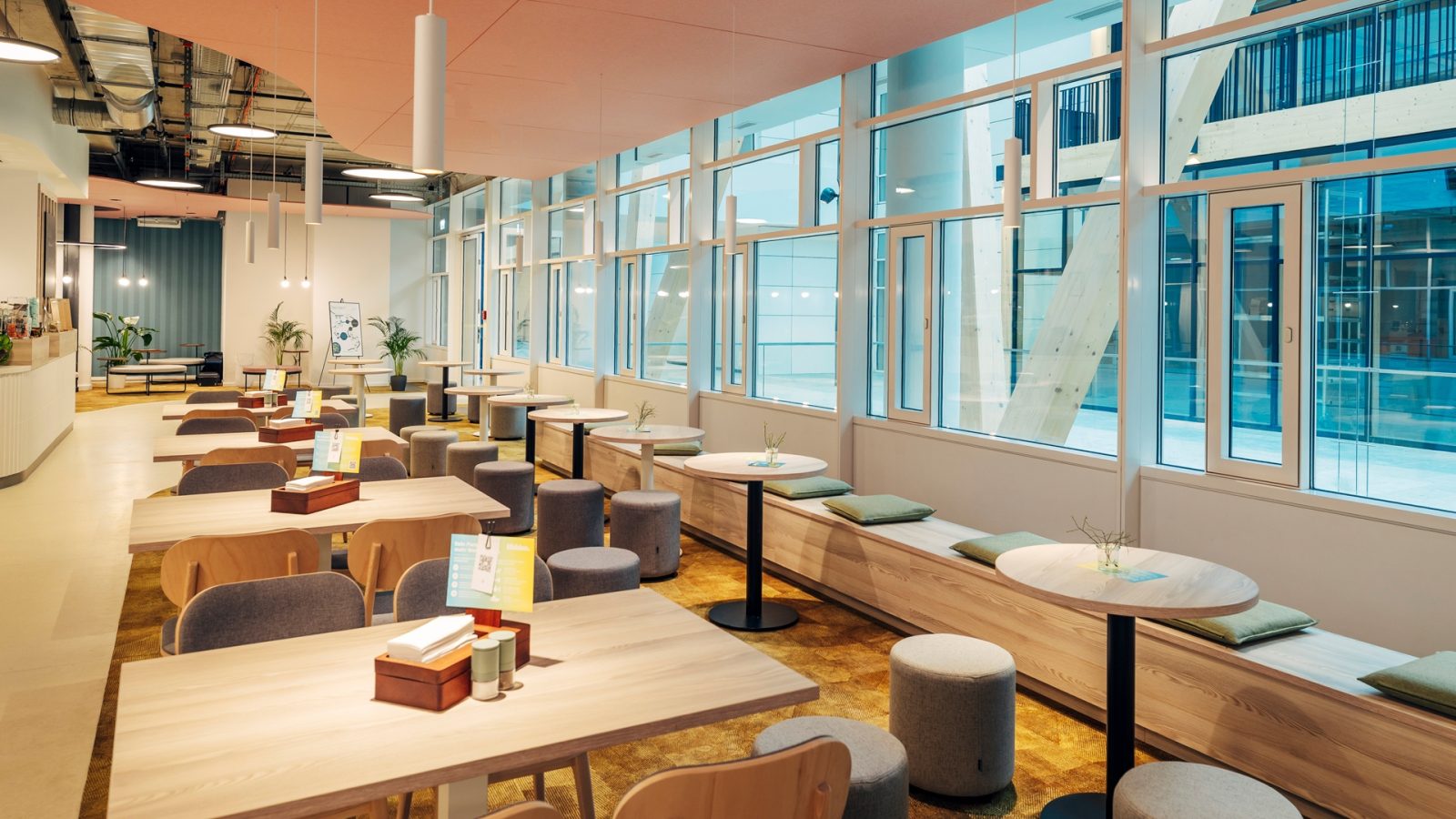 0008 tmc Impressionen