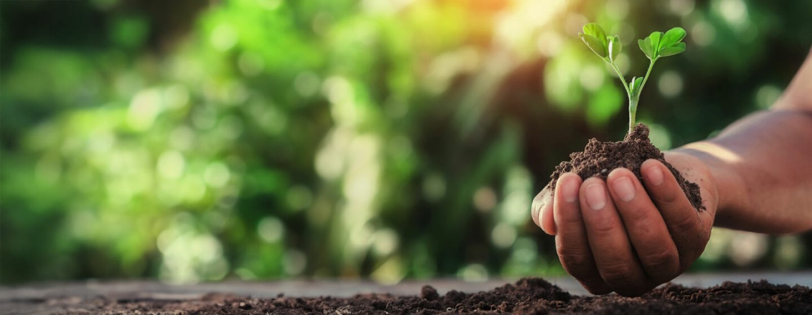 Nachhaltig 1440x560
